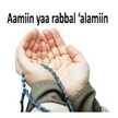 Hayati Mies Nur