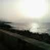 Nardjess california
