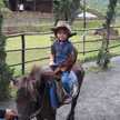Selvi