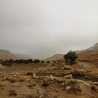 Roqiah 