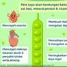 Dapur Athar