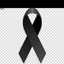 Marce Barreto