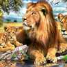 ام احمد ام احمد