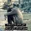 صفنت المفارك جرح