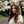 negin.norouzi