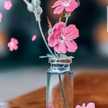 وصفات ام إلياس