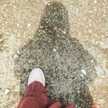 Rani Damayanti