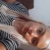 Klaudia