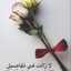 wafa
