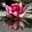 Gladys Pereyra