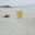 رحيق الورد 🌹