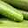 anxious cucumber