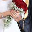 Harim Hally 