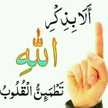 حمیده 