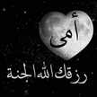  امي جنتي 