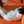 giane