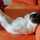 giane