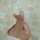 wulan wulan