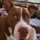 kittymom420 kittymom420
