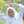 Chintya Novia Chintya Novia