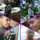 shixxs