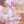 bint_alshehhi