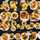 Shaqsy_Cuisine Shaqsy_Cuisine