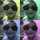 Firdausah Amalia Firdausah Amalia