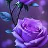 Beautifulfierysoul 
