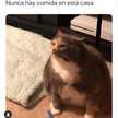 Denis