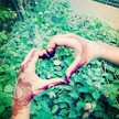 Om Mony