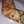 ام محمد