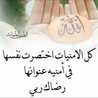 ساجدة امير