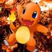 Charmander 888