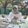 Hardini Dwi Lestari