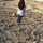 Hiba Tistic