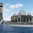 Darwana 21