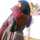 Oumaima Nour Oumaima Nour