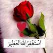 الطباخة الصغيرة