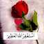 الطباخة الصغيرة