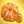 dhmhtrela