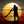 Aboriginal Food Safari