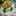 AtHiex Purwa N AtHiex Purwa N