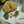 AtHiex Purwa N