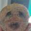 Toni JiFe