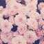Raghad