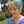 Ingrid Leonard Ingrid Leonard