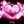 frosw22