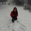 Andreacampos