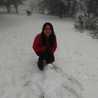 Andreacampos
